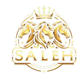 Saleh World